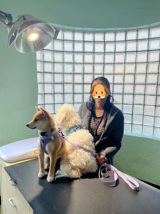 City Animal Hospital Picture 1