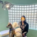 City Animal Hospital