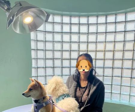 City Animal Hospital