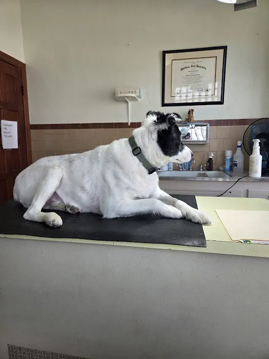 City Animal Hospital Picture 6