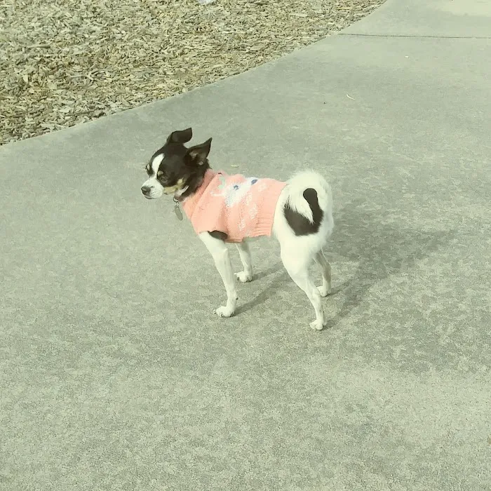 City Animal Hospital Picture 7