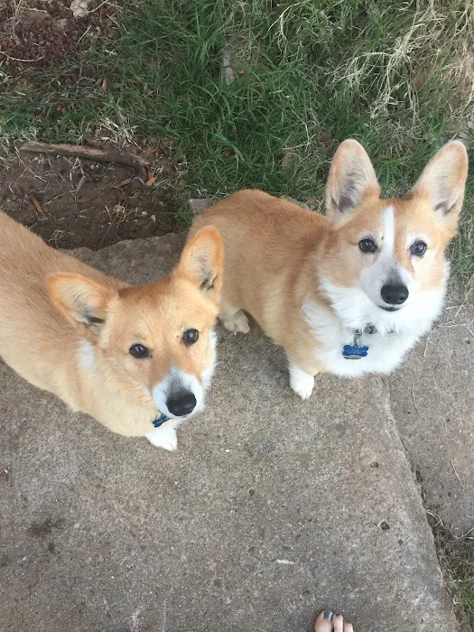 Wedgewood Pet Clinic Picture 4