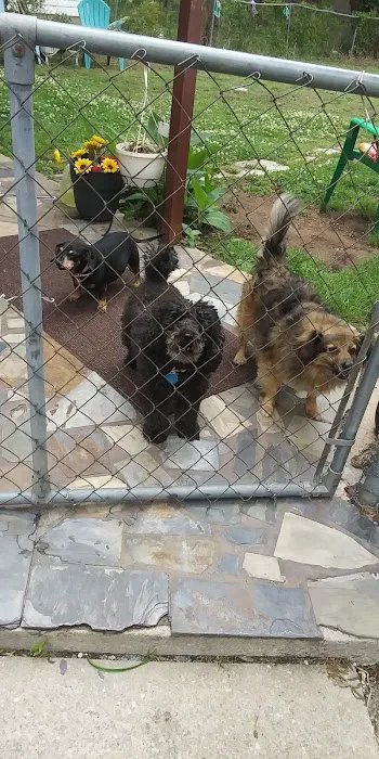 Oklahoma Humane Society Spay + Neuter Clinic Picture 10