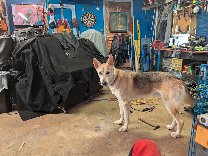Oklahoma Humane Society Spay + Neuter Clinic Picture 9
