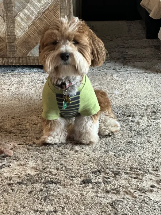 Lakeview Pet Hospital Picture 1