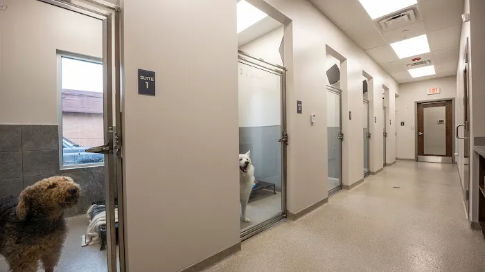 Lakeview Pet Hospital Picture 2