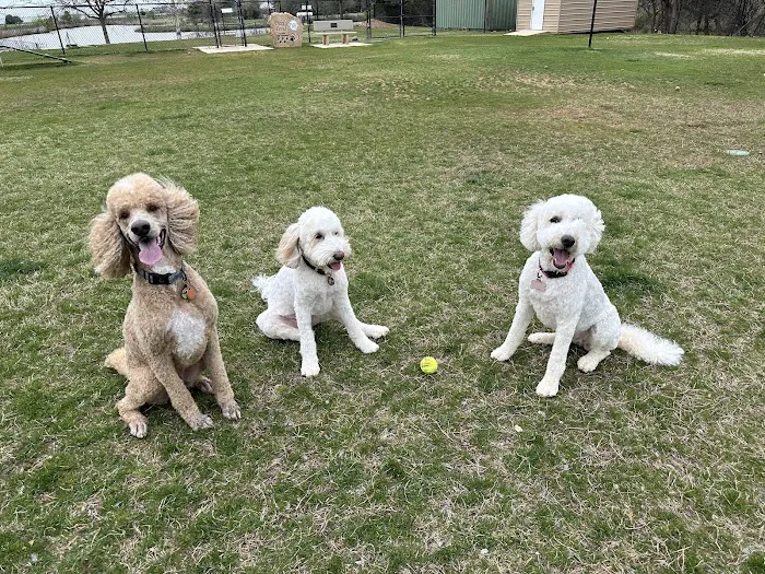 Lakeview Pet Hospital Picture 4