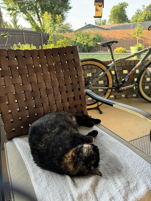 Lakeview Pet Hospital Picture 5