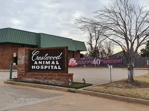 Dr. Allison Skube @ Crestwood Animal Hospital Picture 4