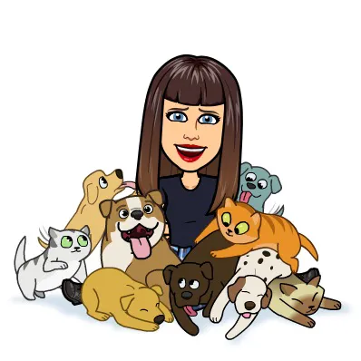 Dr. Allison Skube @ Crestwood Animal Hospital Picture 3