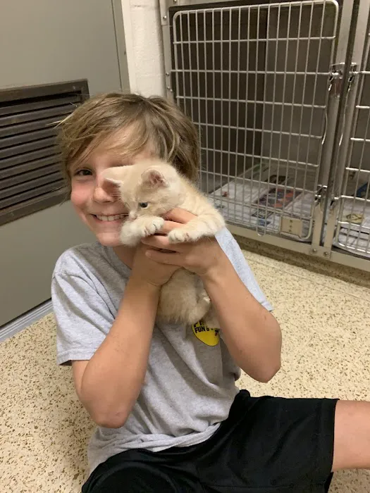 Dr. Allison Skube @ Crestwood Animal Hospital Picture 1