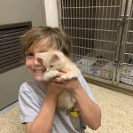 Dr. Allison Skube @ Crestwood Animal Hospital