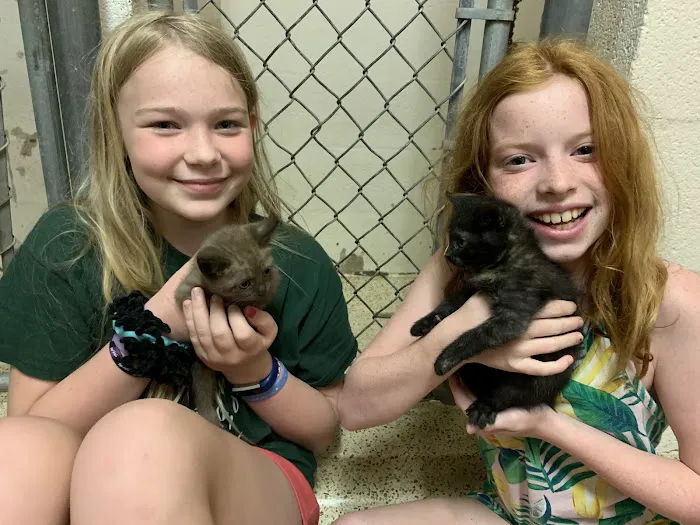 Dr. Allison Skube @ Crestwood Animal Hospital Picture 6