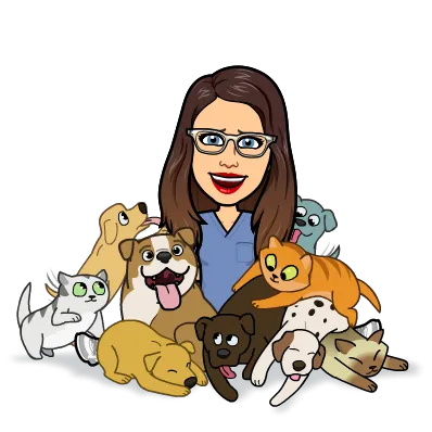 Dr. Allison Skube @ Crestwood Animal Hospital Picture 7