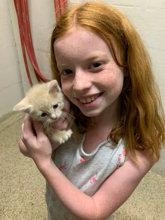 Dr. Allison Skube @ Crestwood Animal Hospital Picture 10