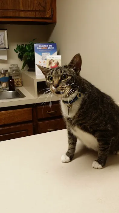 Crestwood Animal Hospital Picture 1