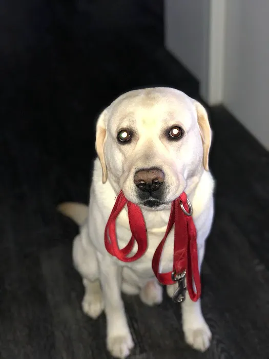 Warwick Animal Hospital Picture 1