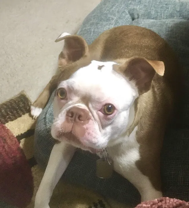 Warwick Animal Hospital Picture 8