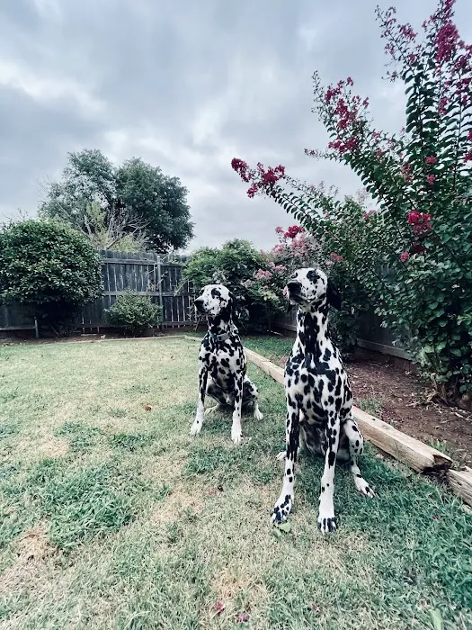 Warwick Animal Hospital Picture 7