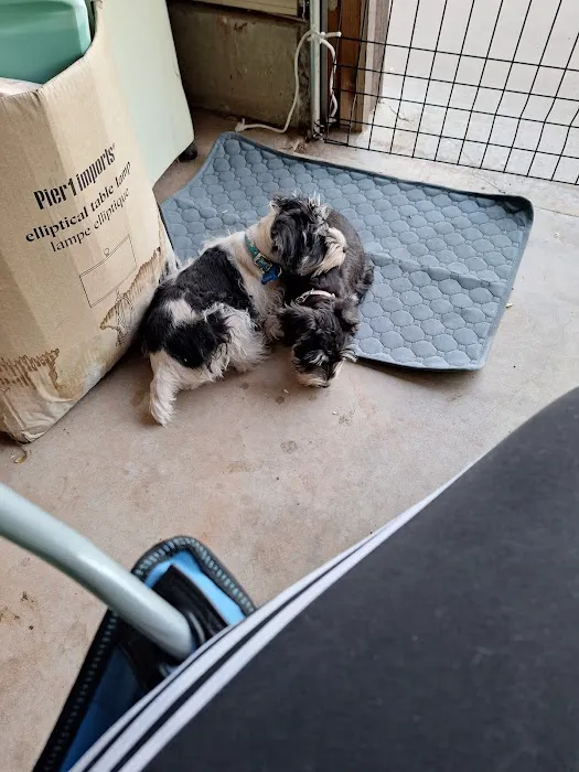 Warwick Animal Hospital Picture 5