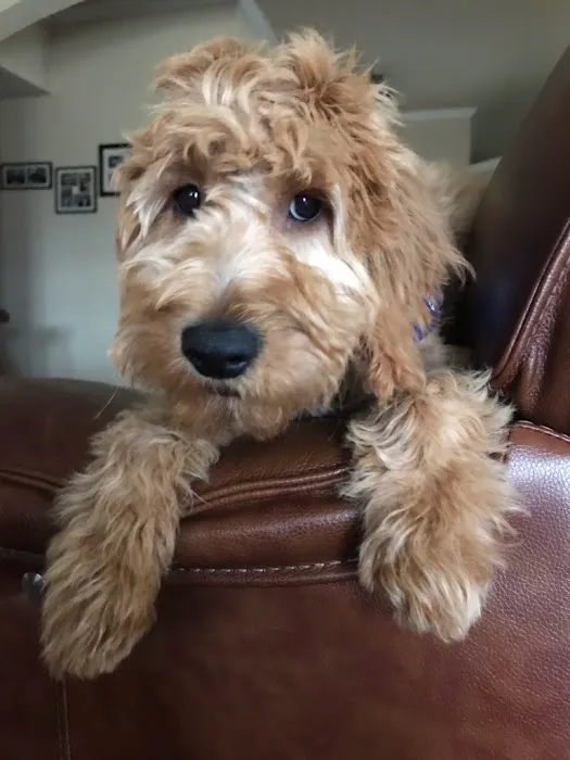 Warwick Animal Hospital Picture 10