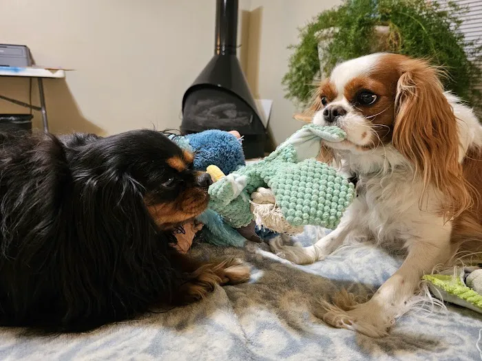 Warr Acres Animal Clinic Picture 2