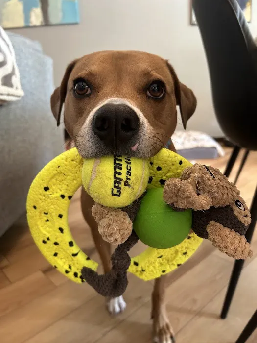 Warr Acres Animal Clinic Picture 1