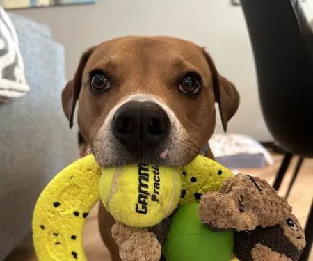 Warr Acres Animal Clinic