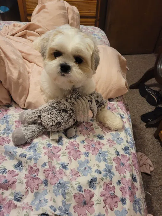 Warr Acres Animal Clinic Picture 4