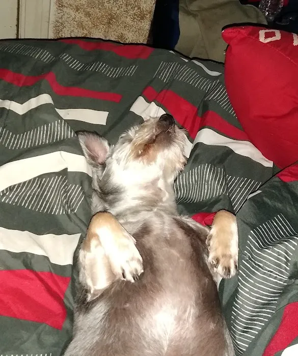 Warr Acres Animal Clinic Picture 5