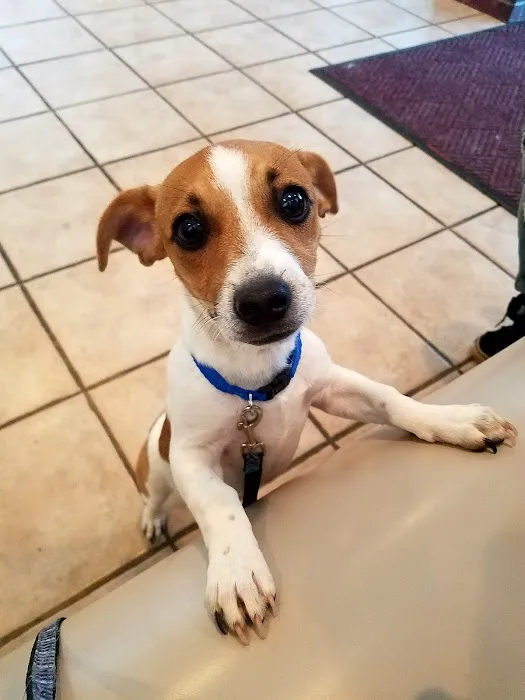 Warr Acres Animal Clinic Picture 8