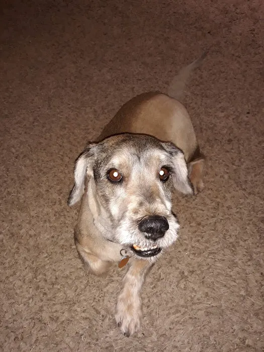 Warr Acres Animal Clinic Picture 9