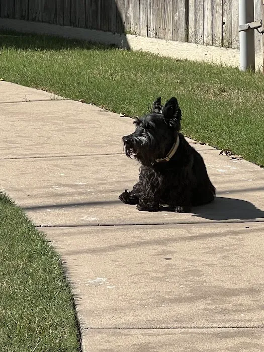 Vaughn Brooke DVM Picture 3