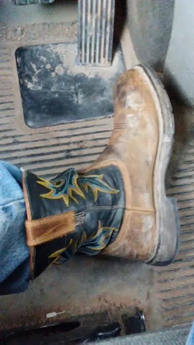 Karrenbrock Vet Clinic Picture 6