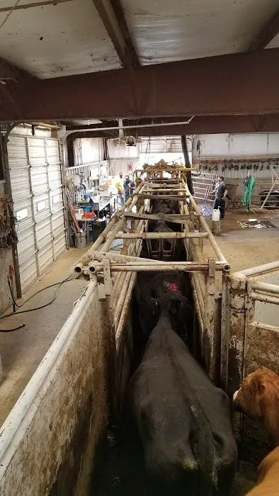 Karrenbrock Vet Clinic Picture 9