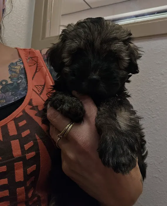 Wheatland Animal Clinic Picture 2