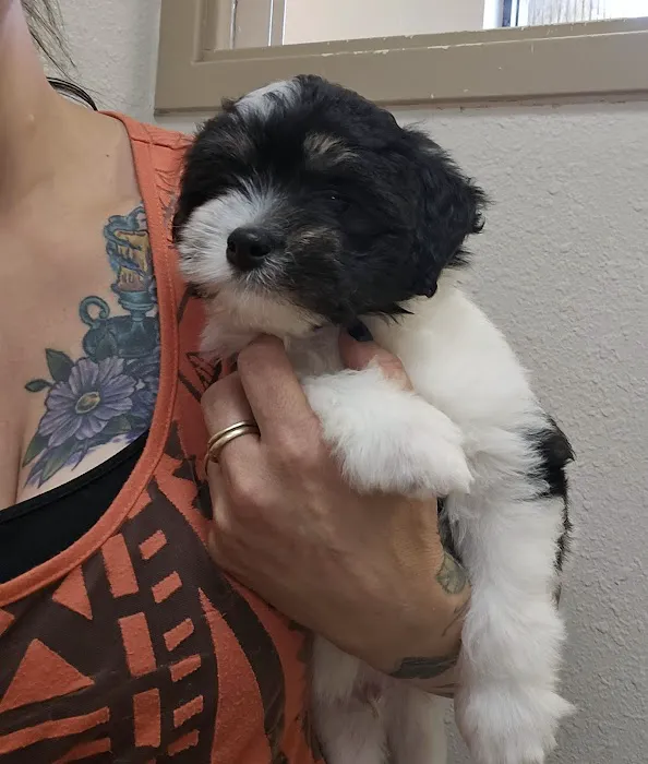 Wheatland Animal Clinic Picture 1