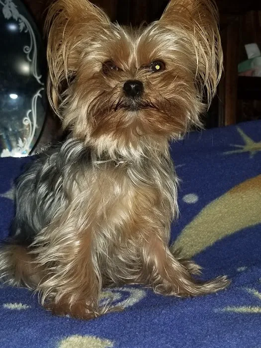 Wheatland Animal Clinic Picture 3