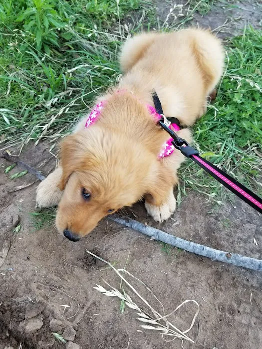 Wheatland Animal Clinic Picture 4