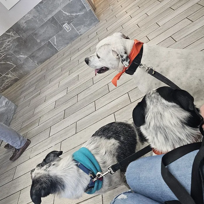 Wheatland Animal Clinic Picture 5