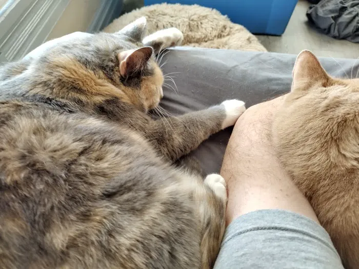 Wheatland Animal Clinic Picture 6