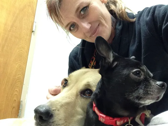 Wheatland Animal Clinic Picture 8