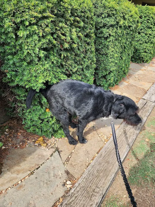 Wheatland Animal Clinic Picture 9