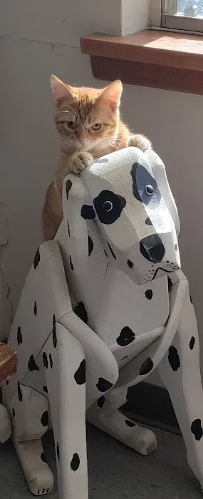 Oakwood Veterinary Clinic Picture 1