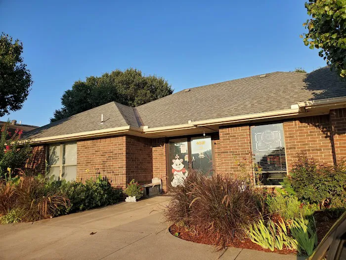 The Cat Clinic Picture 2