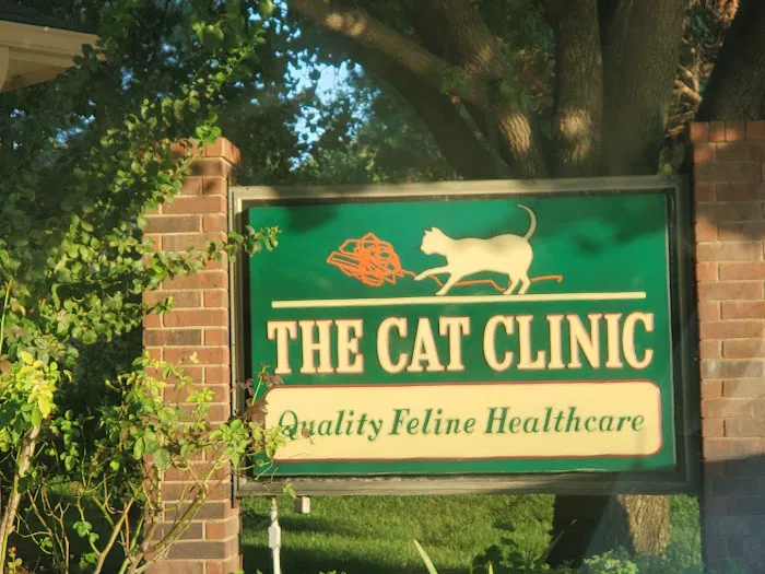 The Cat Clinic Picture 1