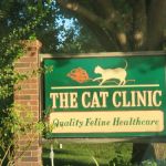 The Cat Clinic
