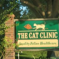 The Cat Clinic ico