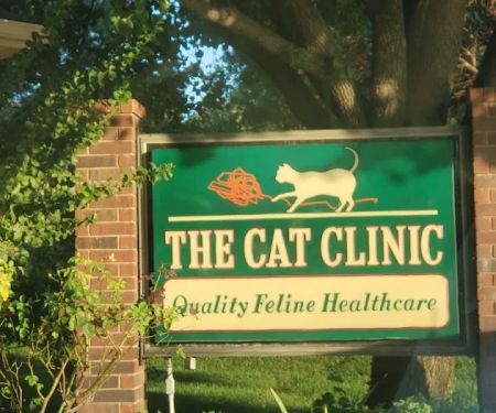 The Cat Clinic