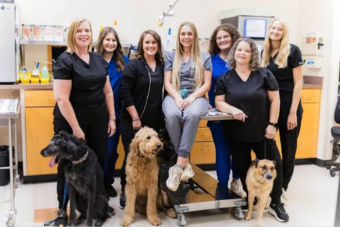 Enid Pet Hospital Picture 1